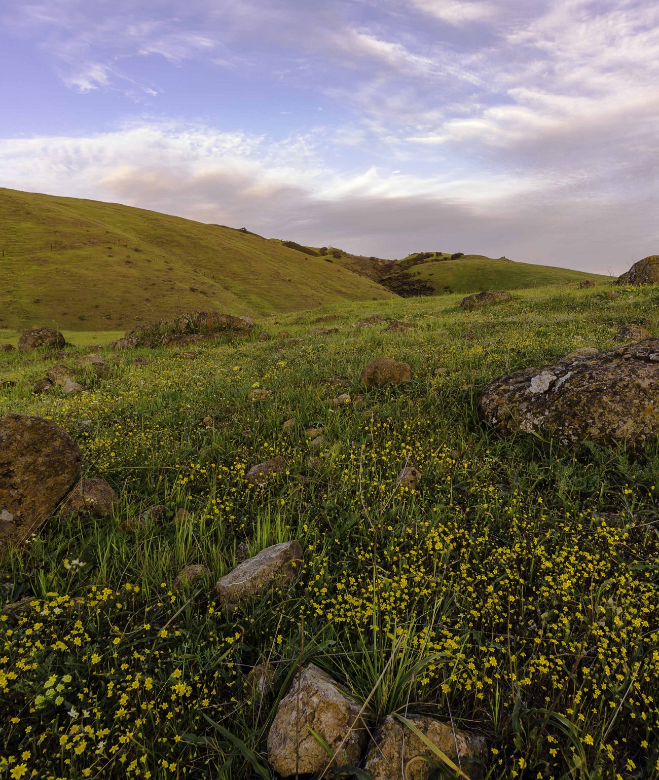 Santa Clara Valley Open Space Authority