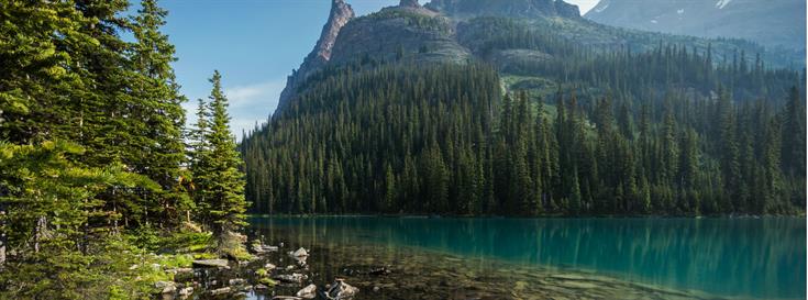 BC Parks announces new strategy for conservation of parks and recreation areas 
