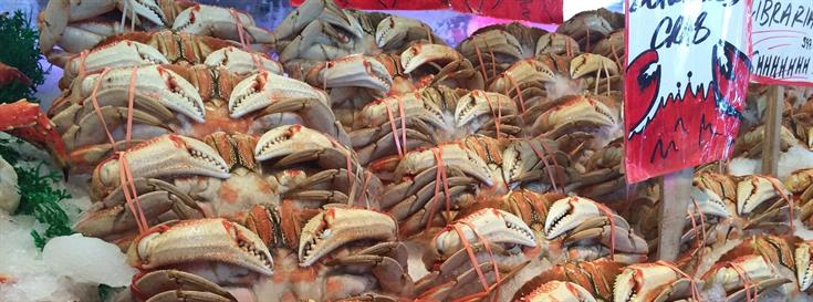 NFI Crab Council announces new partner