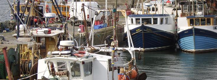 NFWF awards $1.58 million in grants for sustainable fisheries