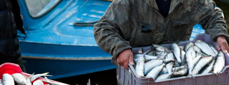 Miguel A. Jorge to head global sustainable fisheries coalition
