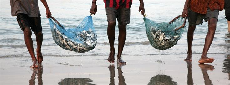 Investing in sustainable fisheries