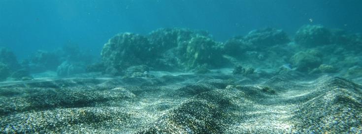 Flowing electrons help ocean microbes gulp methane