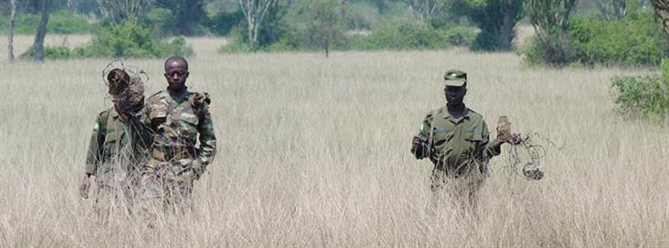 York ecologists and Wildlife Conservation Society develop new method to identify poachers