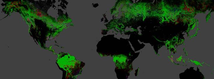 New data provides insight into tropical forest disturbances 