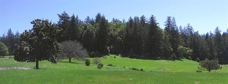 Historic property in Santa Cruz mountains now preserved 