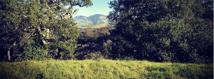 Discovering the beauty of the Bay Area's Mt. Diablo 