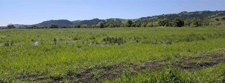 Peninsula Open Space Trust purchases a special piece of land in Coyote Valley