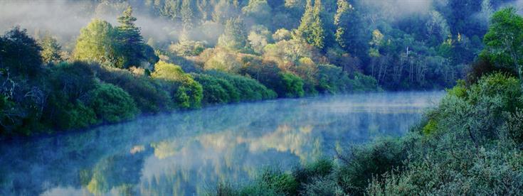 Conservation Land Network focuses conservation efforts in the Bay Area's most biodiverse regions